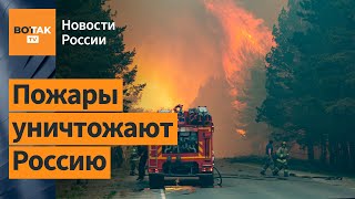 Власти скрывают масштабы катастрофы: пожары в РФ уничтожили территорию размером со Словакию