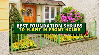7 Best Foundation Shrubs to Plant in Front of Your House 🏡