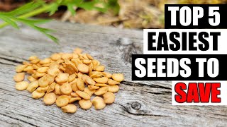 Easiest Seed Saving Crops - Garden Quickie Episode 87