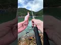 Dead bait isn’t working? Revive it with Kanama Smart Bait.