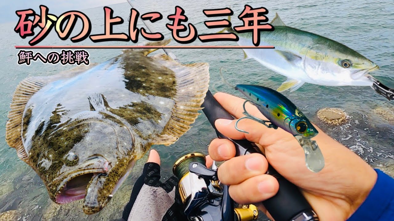 【ヒラメ釣り】鮃は一日にして成らず【フラットフィッシュ】 - YouTube