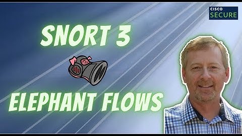 Cisco Secure - Snort 3 Elephant Flows