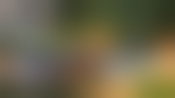 Mountain Bus Simulator : Ultimate Multiplayer! Bus Wheels Games Android !Android game play