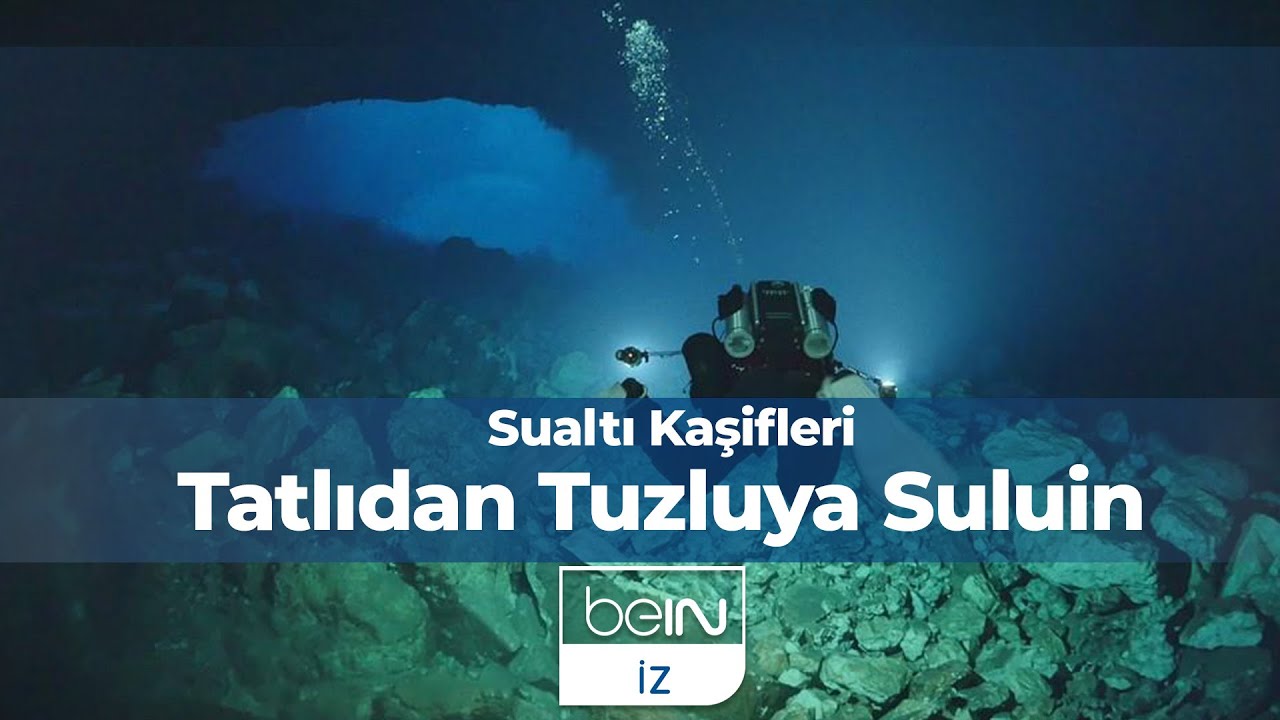 Sualtı Kaşifleri 8. Bölüm | Tatlıdan Tuzluya Suluin