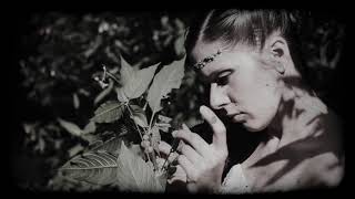 The Witches' Dream - Inevitable