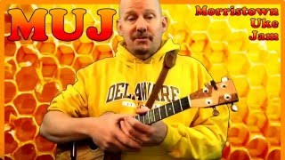 Honey Bee - Blake Shelton Ukulele Tutorial By Muj