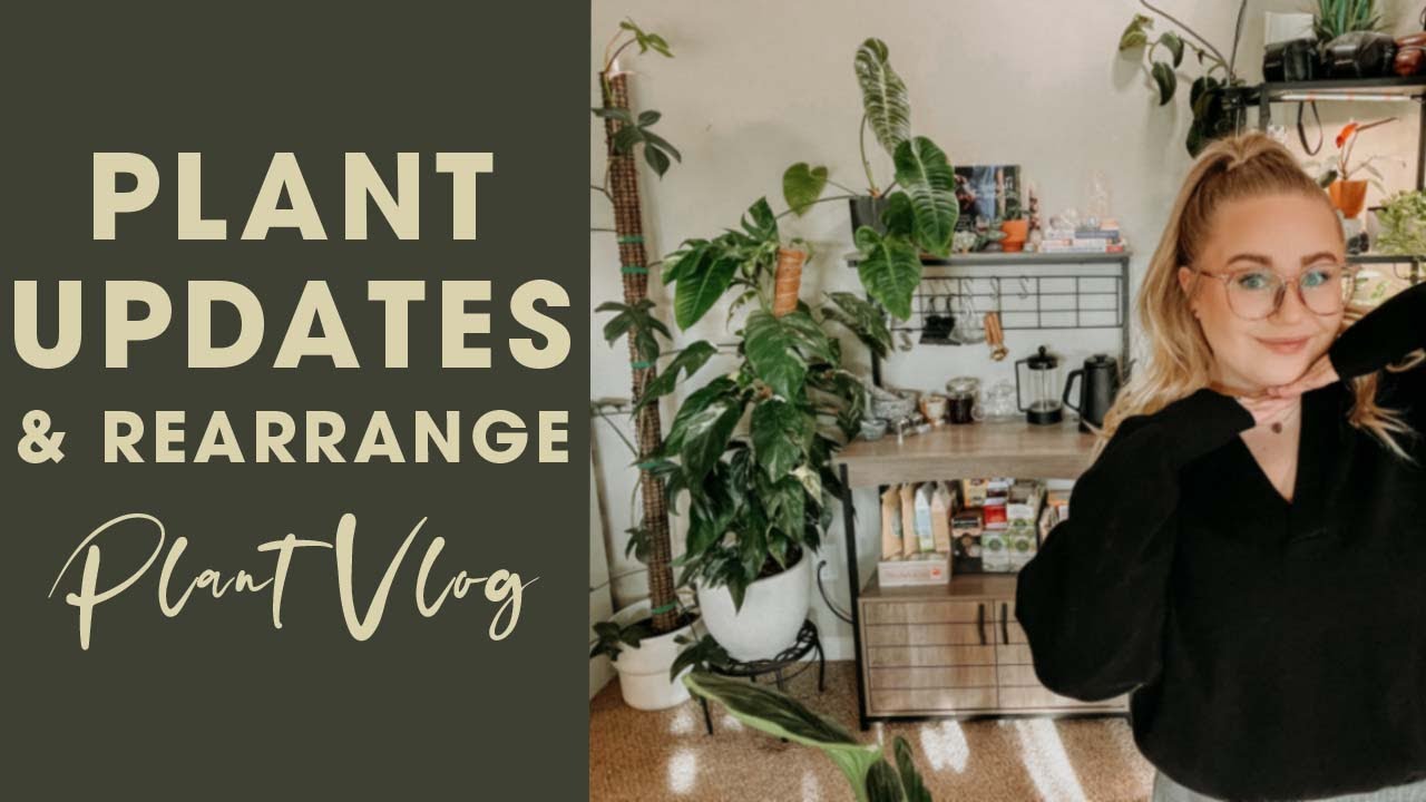 December Plant Updates and Rearrange - YouTube