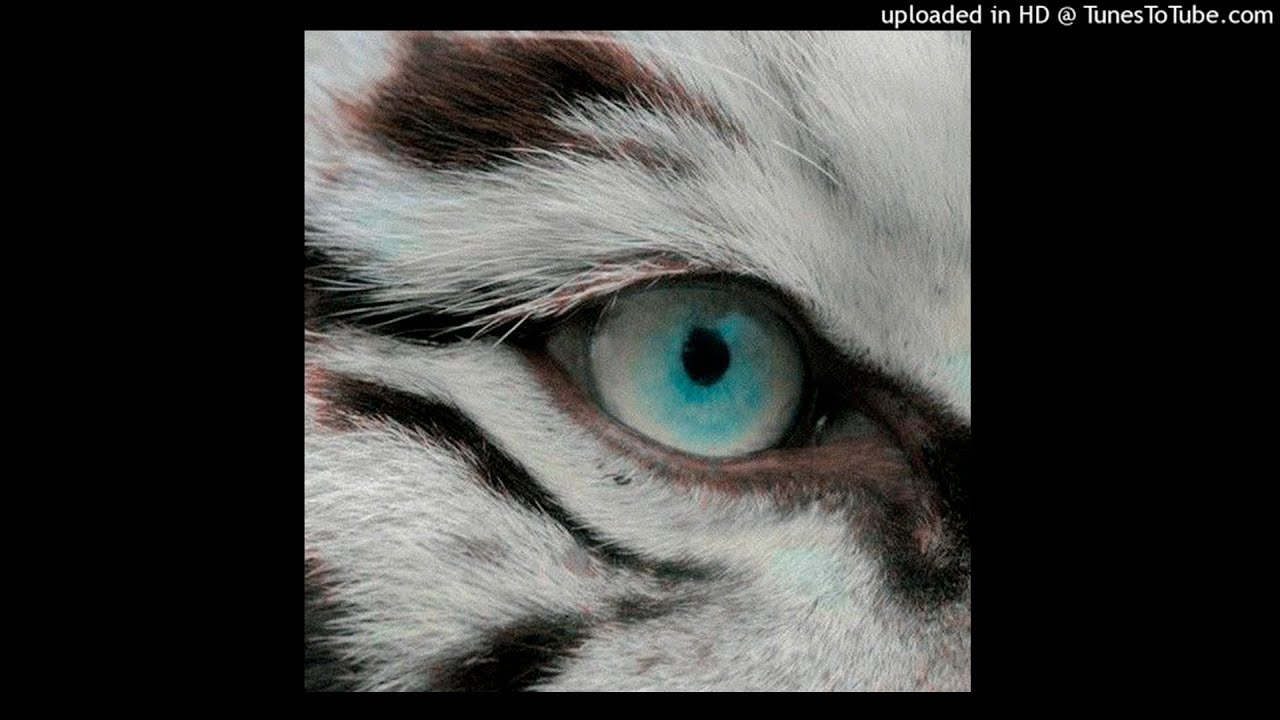 [free for profit] lovemusic + ambient type beat 