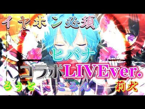 【子供組🚥】ヒバナ〖すとぷり〗《スペシャルコラボLIVE風》