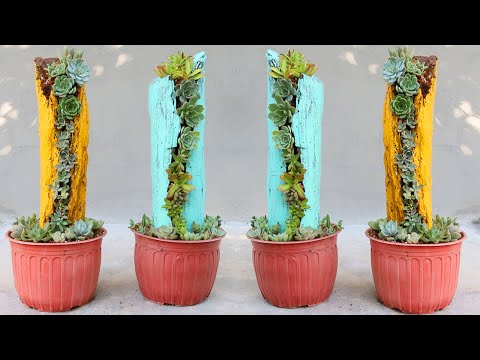 Video: Plantera blommor i stockar - tips om hur du gör en DIY-planterare med stockar