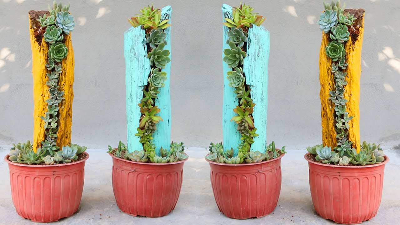 How to Make Wood Log Planter for Succulents | DIY Garden - YouTube