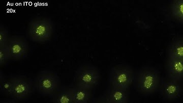 Gold deposition on ITO glass