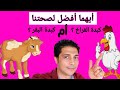 هل كبدة الغنم أفضل ام كبدة الفراخ شاهد اعتراف طبيب بيطرى 