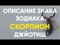 Описание Знака зодиака Скорпион. Джйотиш