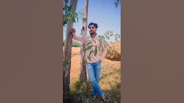 #rwa tuition classes ♥️ motivation short ♥️ रोहित भईया और swabhi mam ♥️ ll motivational shorts ♥️