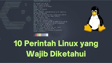 🐧 Belajar Perintah Dasar Linux untuk Pemula! | Panduan Singkat & Praktis 🔧