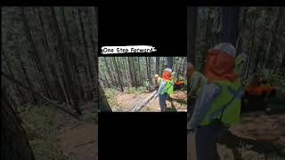#forestal #skidder #tecle #maule #ñuble #biobío #chile