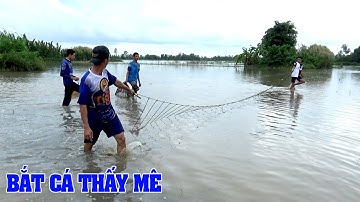 Kéo Côn Bắt Cá Miền Tây Không Ngờ Dính Cá Lóc Cá Rô Thấy Mê - Món Ngon Cháo Cá Lóc - CATCH THE FISH