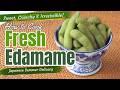 How Japanese People Cook Fresh Edamame | Sweet & Perfectly Crunchy