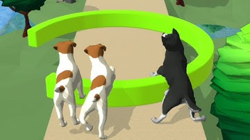 Dog Run - Fun Race 3D - All Levels Gameplay Android, iOS v2