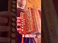 Il saltello (Bella quadriglia) - Organetto della Noce Abruzzese #organetto #accordion #folk