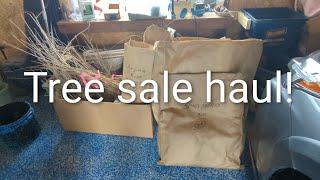 Spring tree sale haul and big planting project 🌲🌳🪾