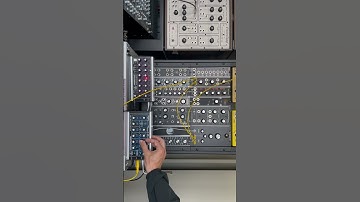 5/19/24 (Monica Seles loop) Zerosum Inertia Scorpion Tail + Technosaurus Cyclodon & Microcon