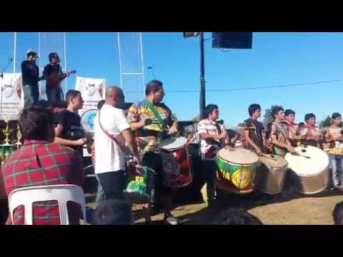 Vídeo: Uma Bateria De Instrumentos De Triagem E Estrutura Corporal Autorreferida Não Conseguiu Detectar Distúrbios Alimentares Entre Estudantes Universitários