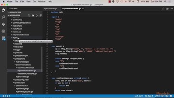 Mastering Go Programming : TCP communication – Clients | packtpub.com