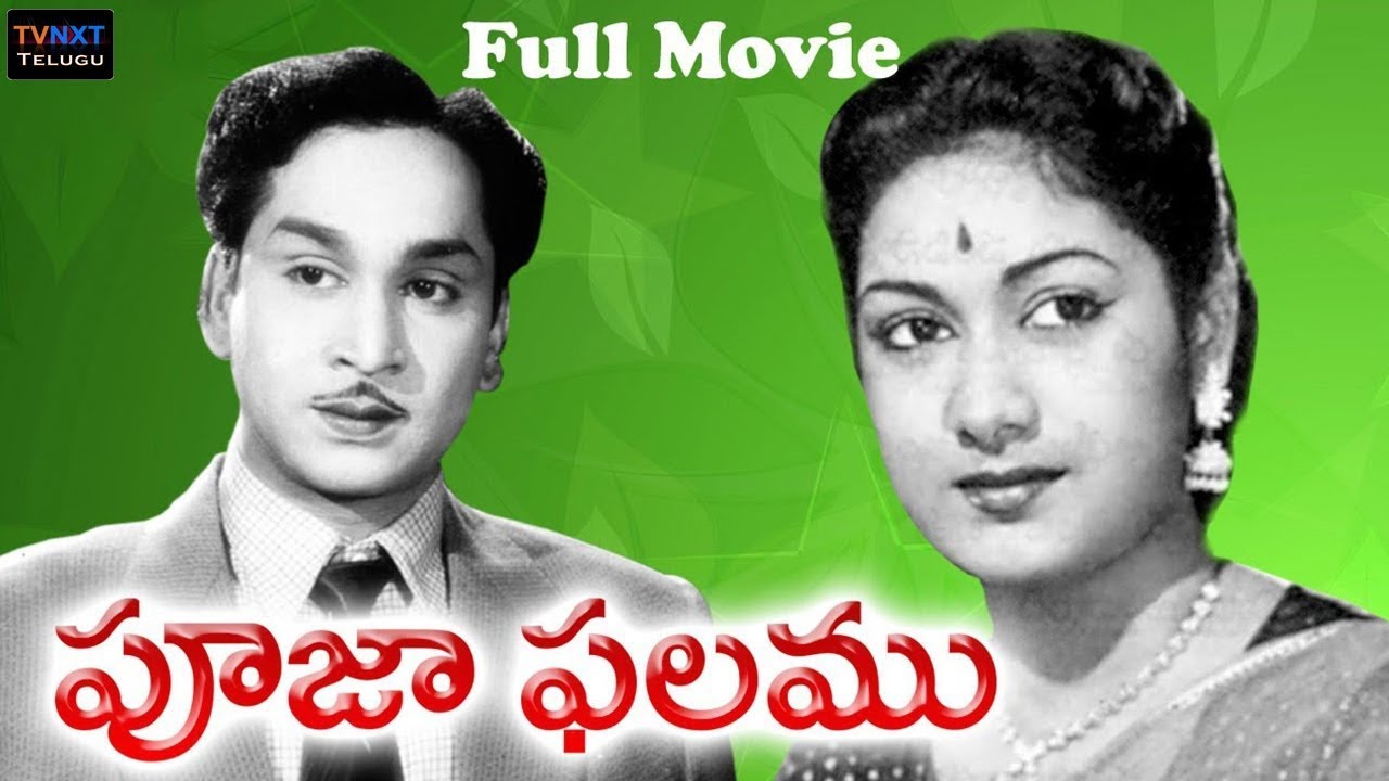 Pooja Phalam Full Length Telugu Movie  ANR  Savitri  Jamuna  TVNXT Telugu