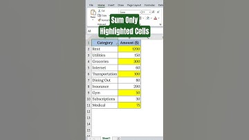Sum Only Highlighted Cells in Excel – Fast & Easy Trick!