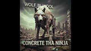 Wolf in Wool