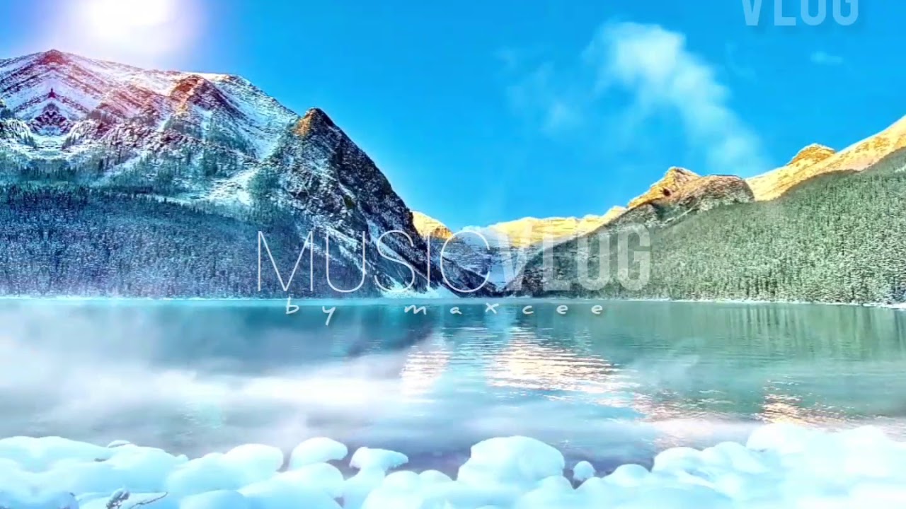 Geographer: Arp Bounce [MAXCEE MUSIC] (2020)