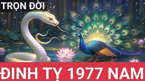 Tử Vi Trọn Đời Tuổi Đinh Tỵ 1977 Nam mạng .Chi tiết.