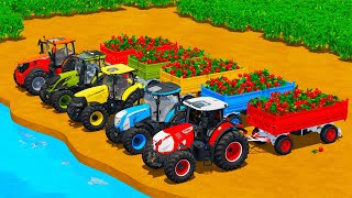 CLAAS vs VALTRA vs McCORMICK vs CASE TRACTORS BATTLE WITH RADISH  Farming Simulator 22