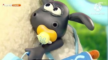 Timmy time intro (Turkish)