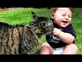 Cutest babies play with dogs and cats compilation  cool peachy