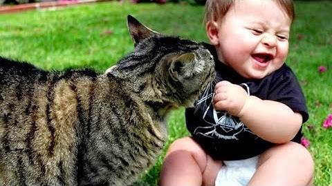 Cutest Babies Play With Dogs And Cats Compilation || Cool Peachy