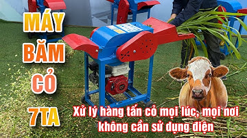 Xử Lý Hàng Tấn Cỏ Ở Mọi Lúc, Mọi Nơi Không Cần Sử Dụng Điện Với Máy Băm Cỏ 7TA Chạy Đầu Nổ Bình An