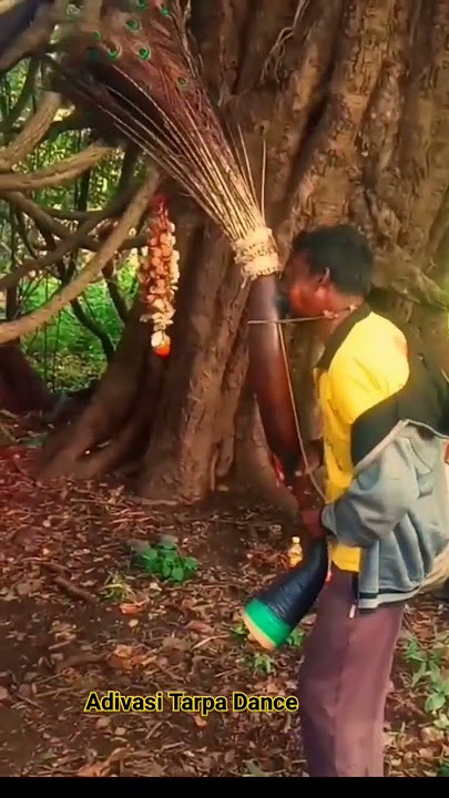 Adivasi Tarpa Dance Real Tarpa Original Tarpa Tokarpada Kaprada Valsad Mauli Tarpa Music Comedy