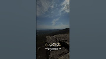 أَفَلَا يَنظُرُونَ إِلَى الْإِبِلِ كَيْفَ خُلِقَتْ ( #القارئ عبدالرحمان مسعد.سورة الغاشیة #اكسبلور