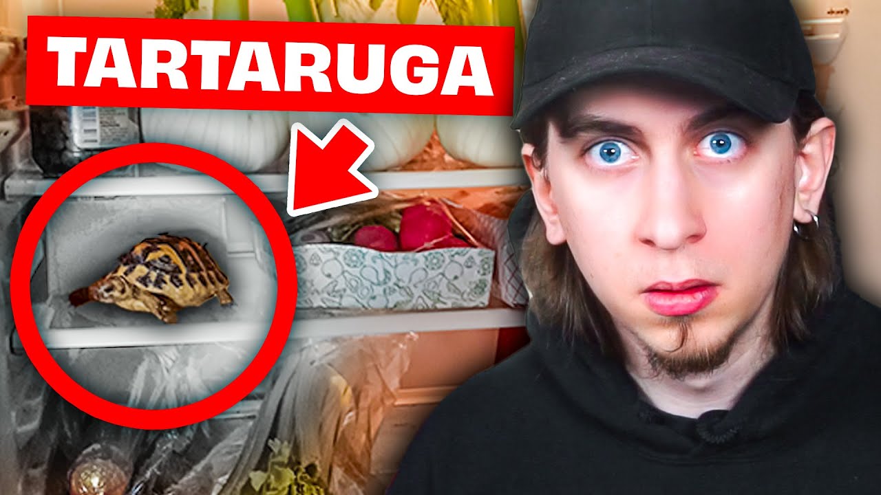 Cosa Hanno i miei Iscritti nel FRIGORIFERO?