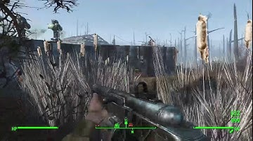 Attacking my own settlement. (Fallout 4)