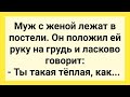 Жена Угрожает Мужу Сдать Себя в Аренду! Сборник Смешных Жизненных Анекдотов для Настроения!