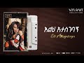 Abeba Desalegn Elh Atasgebagn እልህ አታስገባኝ Collection Track 09 Official Audio