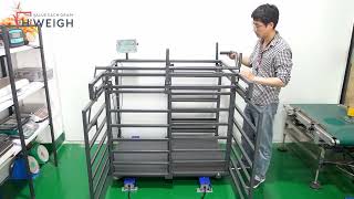 AVS Livestock Crate Scale