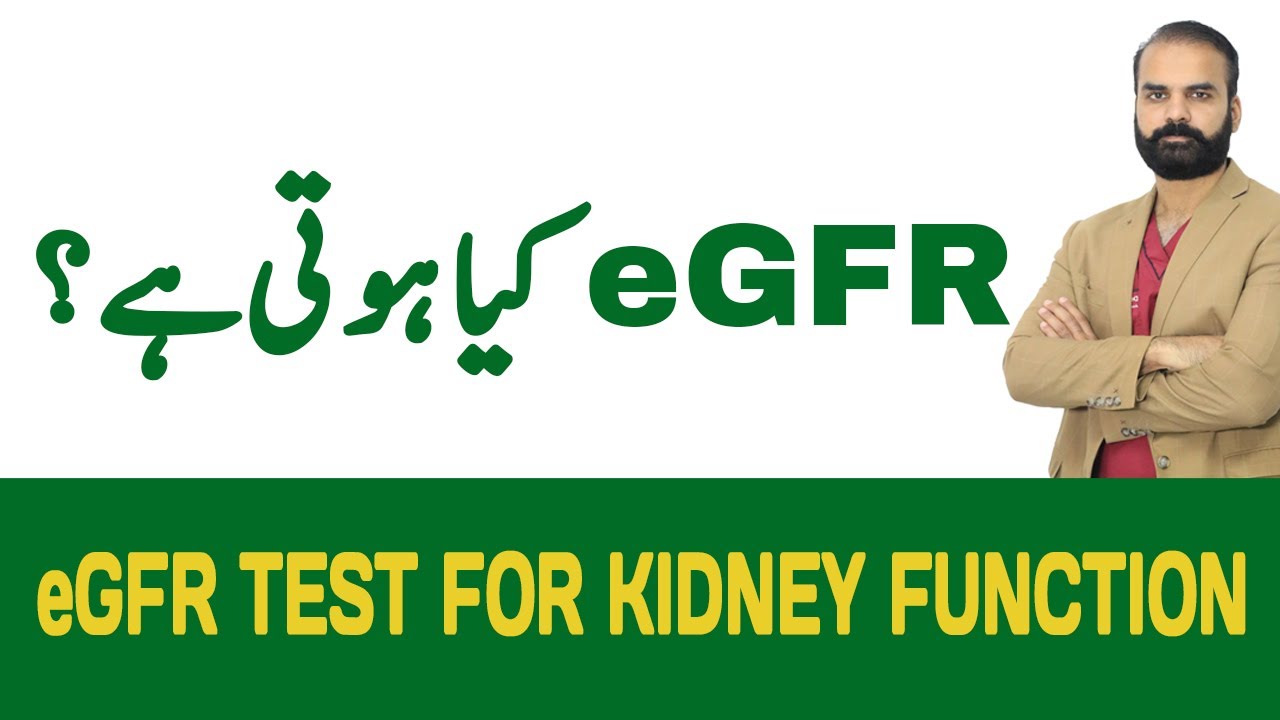 eGFR Test for Kidney Function Kidney Function Tests YouTube
