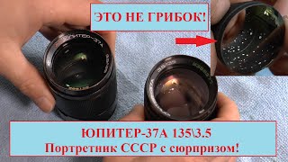 ЭТО НЕ ГРИБОК! ЮПИТЕР-37А 135\ 3.5  - ШИКАРНЫЙ ПОРТРЕТНИК СССР! ПОЛНЫЙ РАЗБОР.