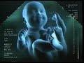 Carl S Jr It Ain T For Babies Commercial 2005 