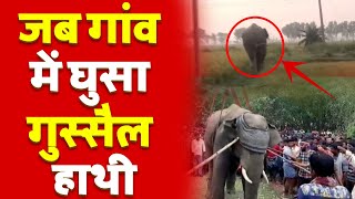 जब वीरभूम जिले के अविनाशपुर गांव में घुसा हाथी, फिर जो हुआ  || India Public Khabar ||
